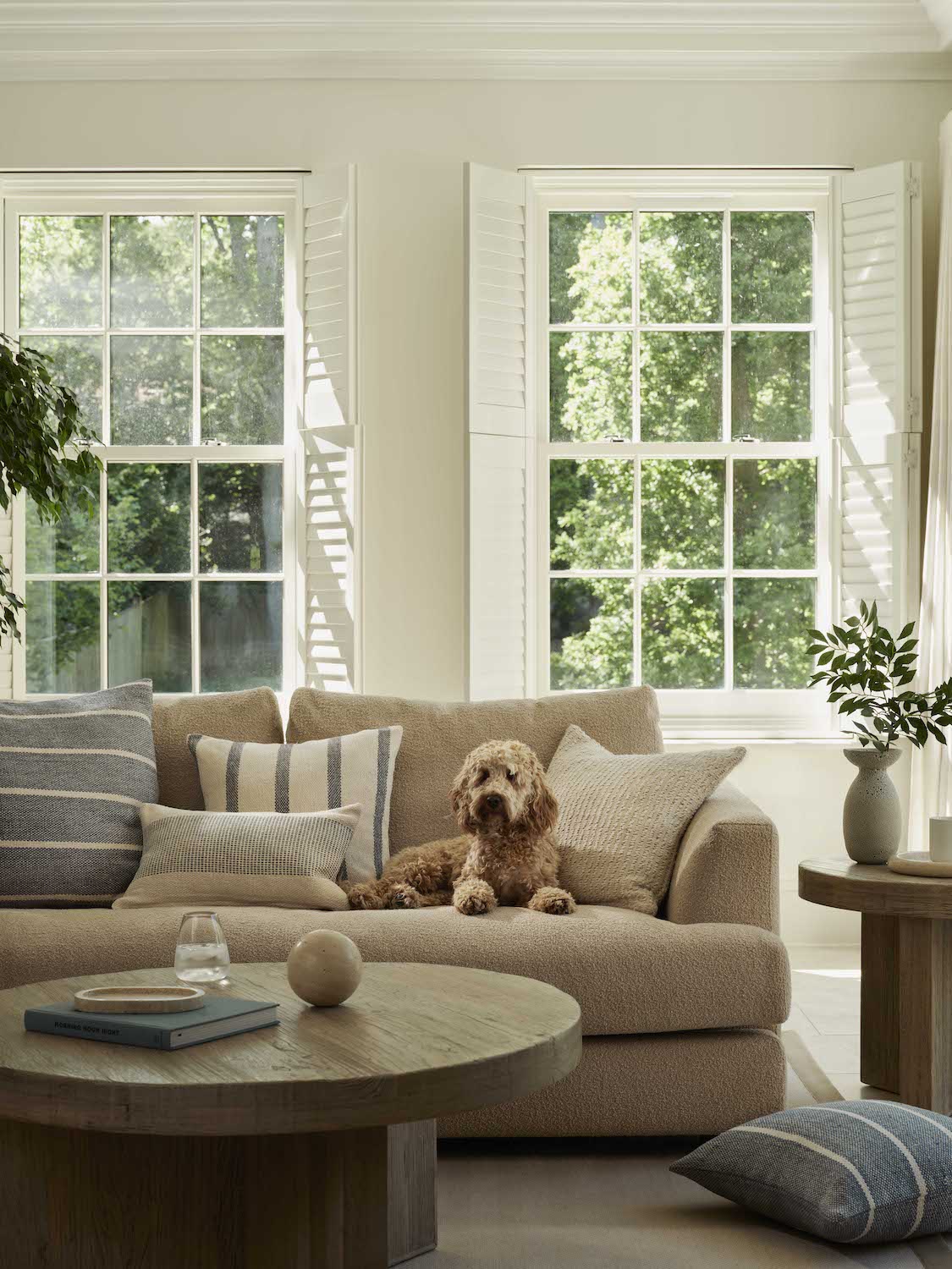 Interactive product image