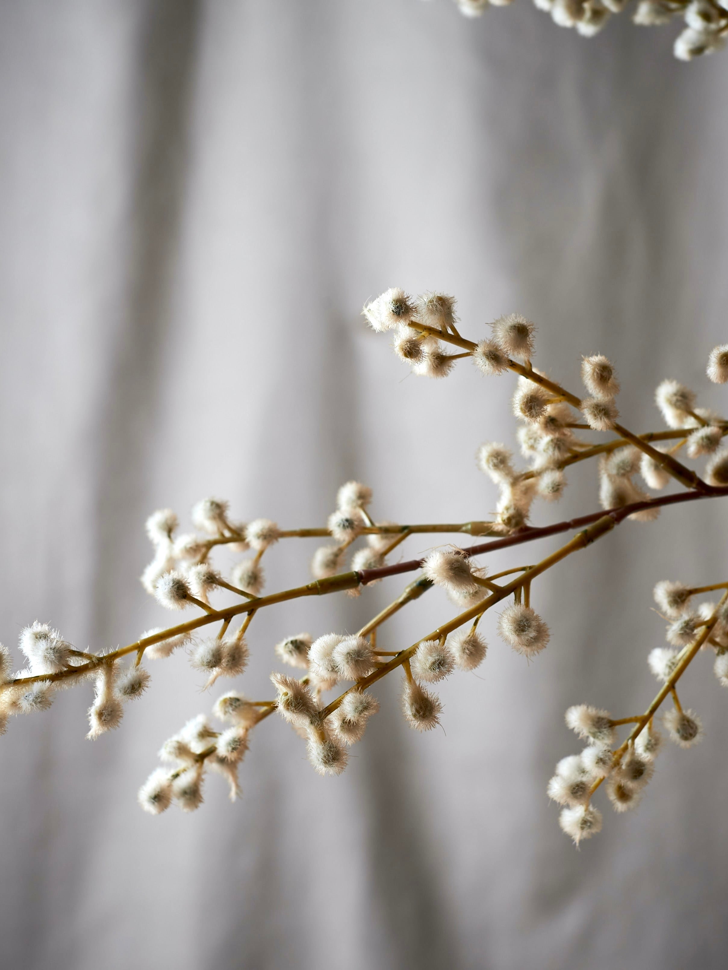 Faux Natural Willow Spray