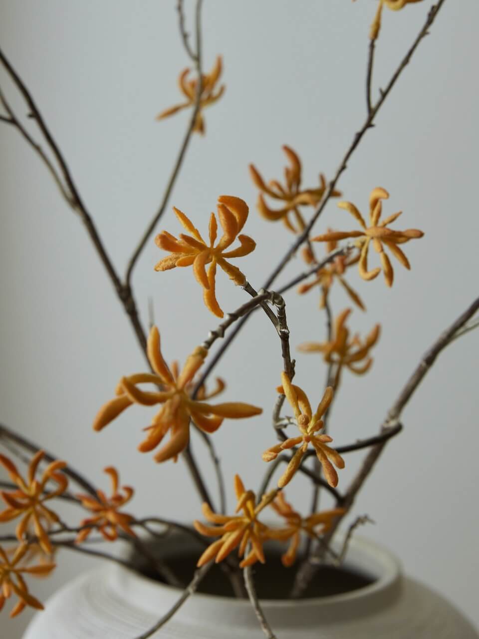 Faux Orange Kangaroo Paw Spray