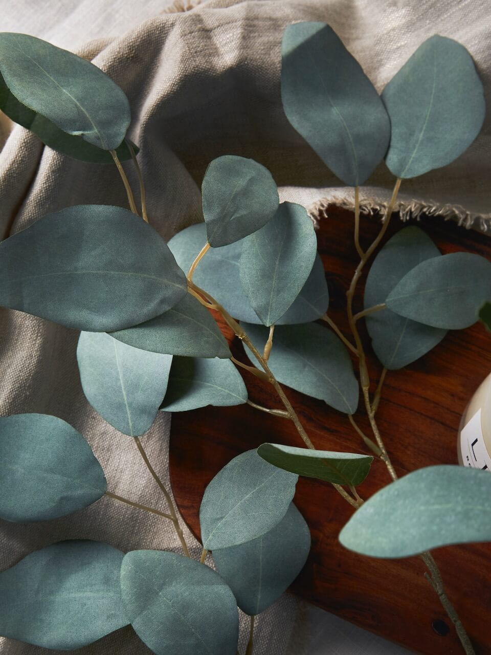 Faux Silver Dollar Eucalyptus Spray